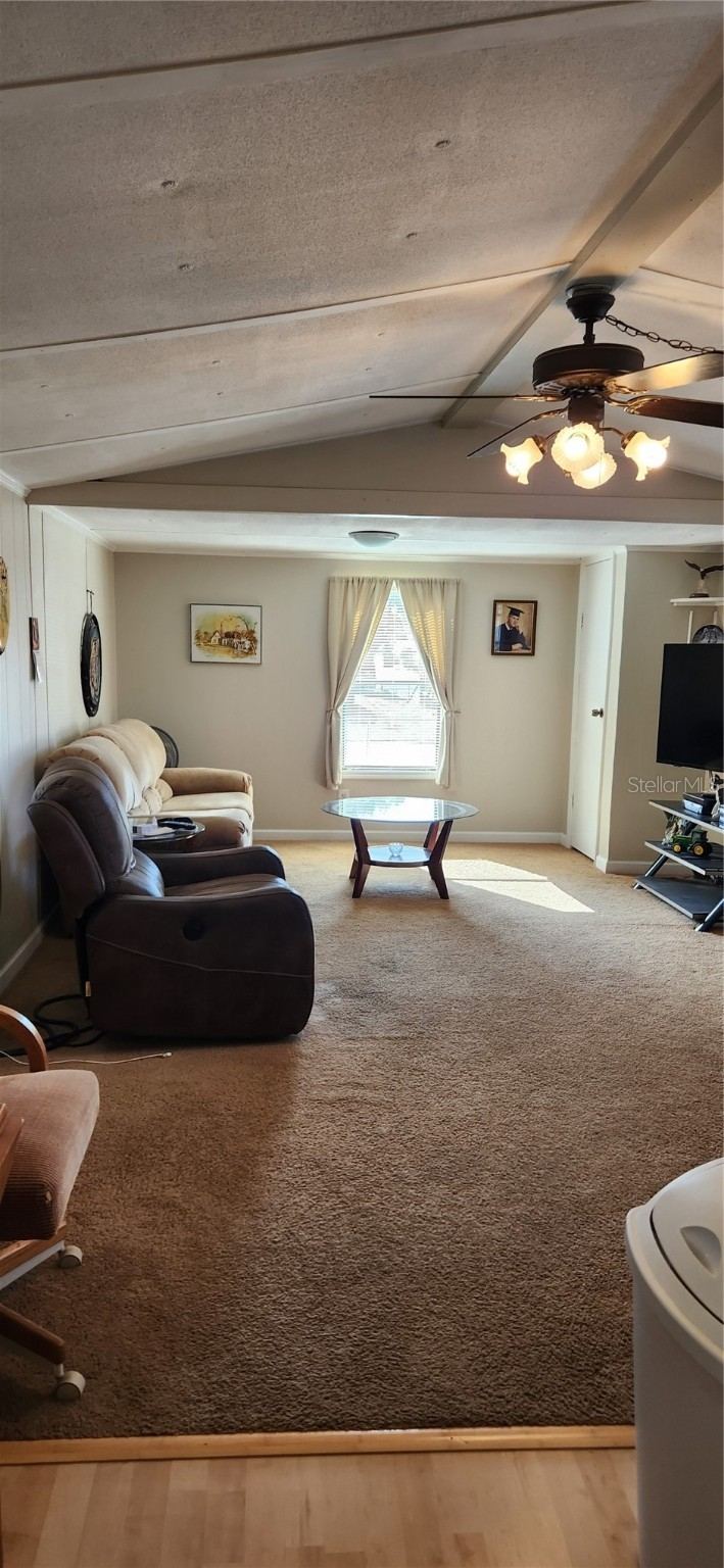 7421 Allyson St photo 5