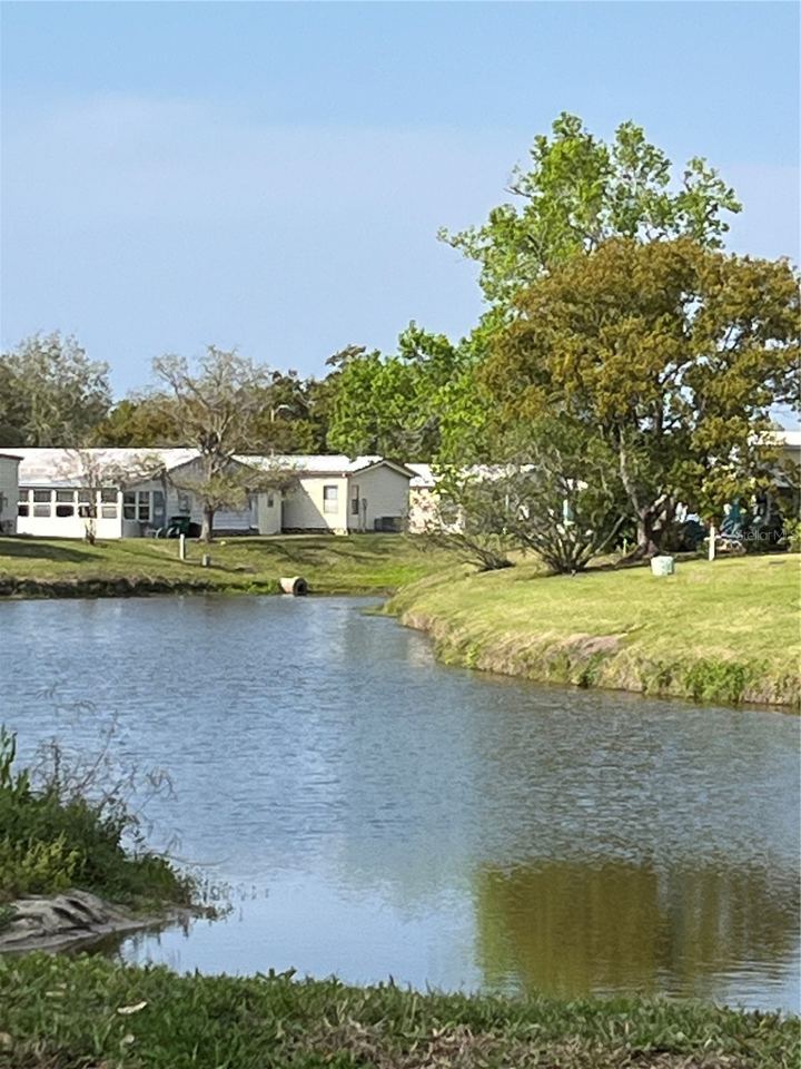 131 Pinewood Ter #8 photo 36