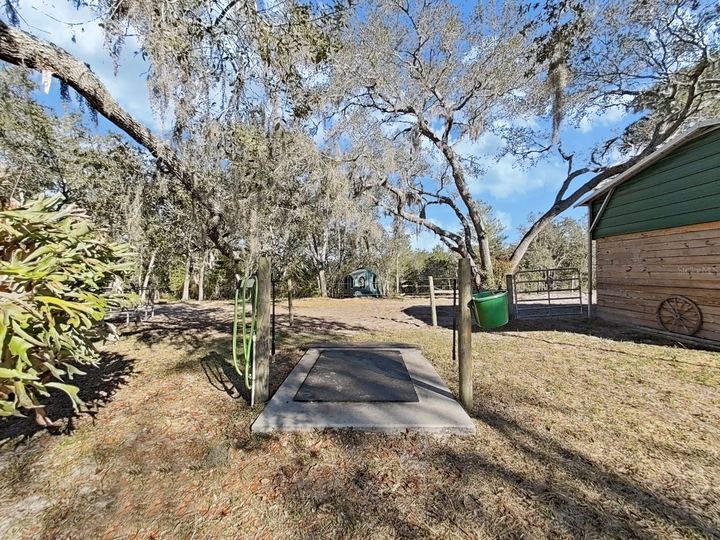 13255 Treaty Rd photo 20