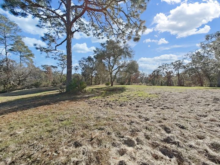 13255 Treaty Rd photo 46